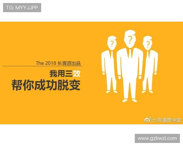 张敏独家分享篮球心得与技巧提升之道助你成为场上明星