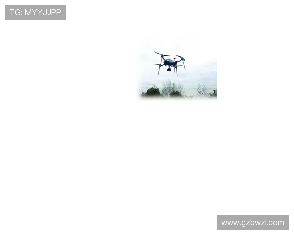 电竞比分实时更新，全程精准追踪比赛动态，带你掌握赛事胜负走向