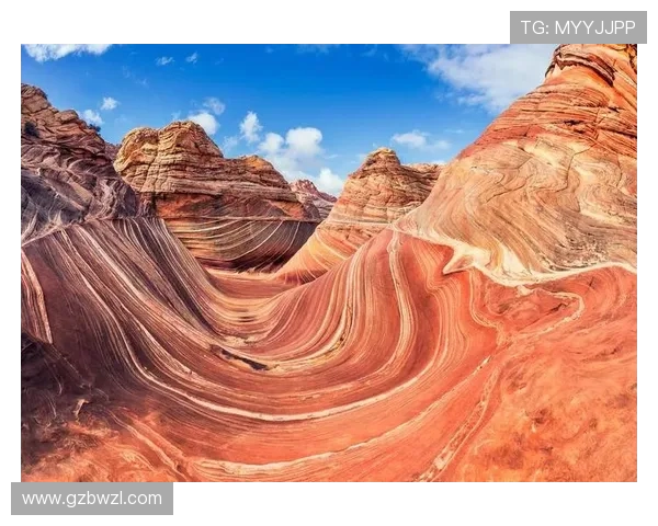 布莱克尼的神秘魅力探索与历史遗迹的完美结合之旅